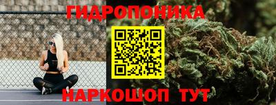 ПСИЛОЦИБИНОВЫЕ ГРИБЫ Заводоуковск