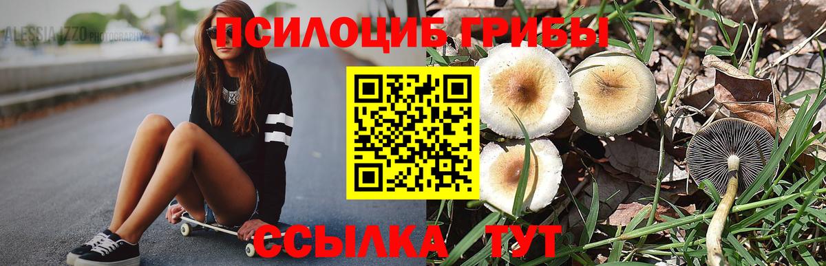 Псилоцибиновые грибы Magic Shrooms Минеральные Воды